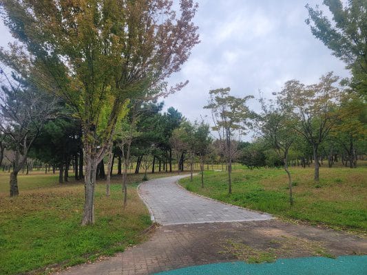 평화로운 산책길